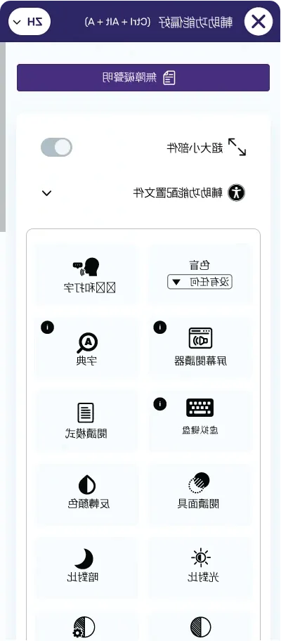 chinese website accessibility widget