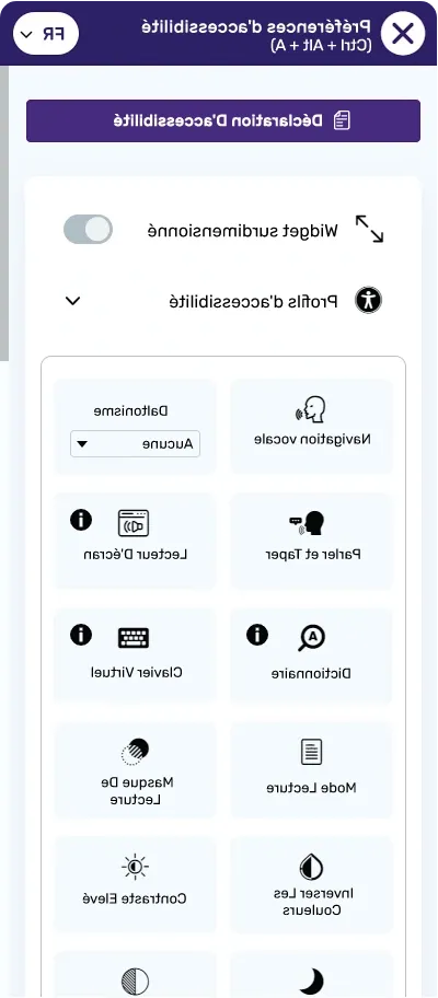 French web ADA solution