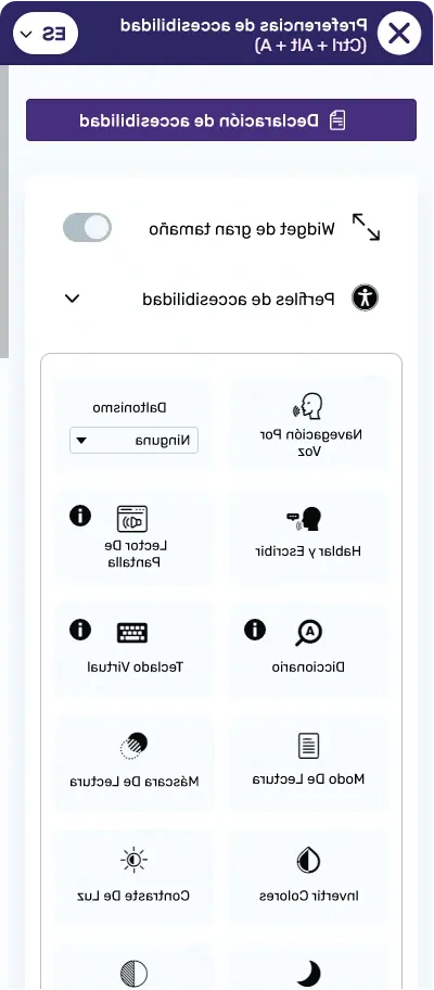 Spanish website accessibility widget